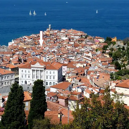 Line Piran